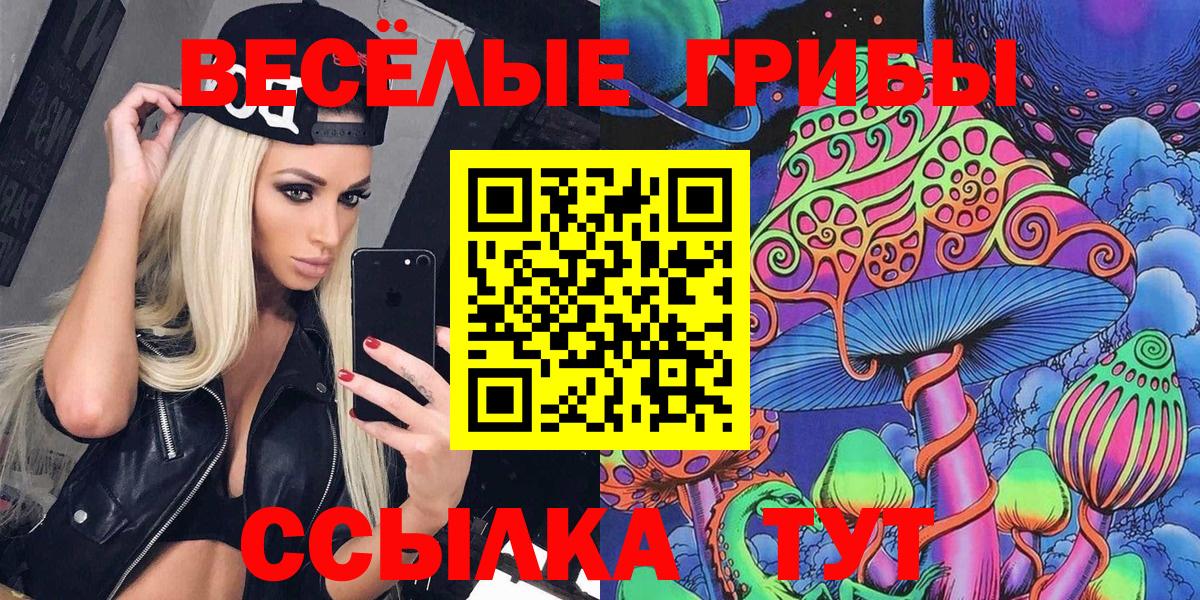 Выкса  Псилоцибиновые грибы ЛСД  Вход с VPN 