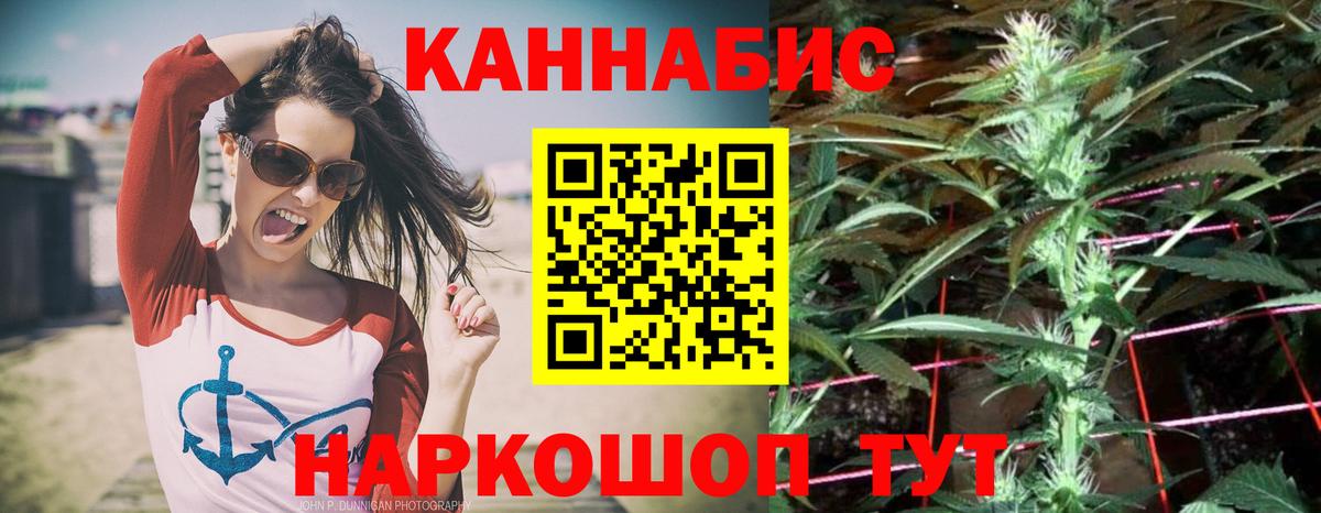 Каннабис семена  Каннабис сатива  Выкса  Вход с VPN 